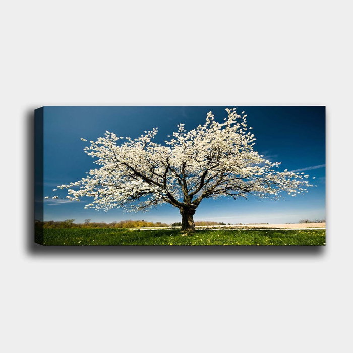 Wallity Lienzo Decorativo Multicolor 50 x 120 cm Wallity Lienzo Decorativo Multicolor 50 x 120 cm